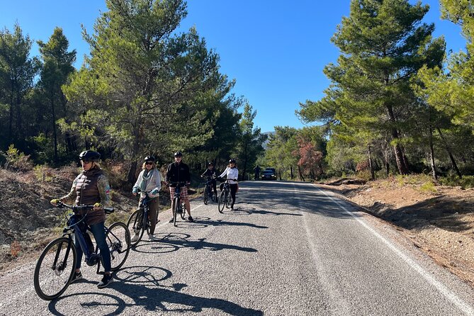 Cycling Through Vineyards & Farm Lunch & Ephesus visit - Gökçealan, Kirazlı, and the countryside route