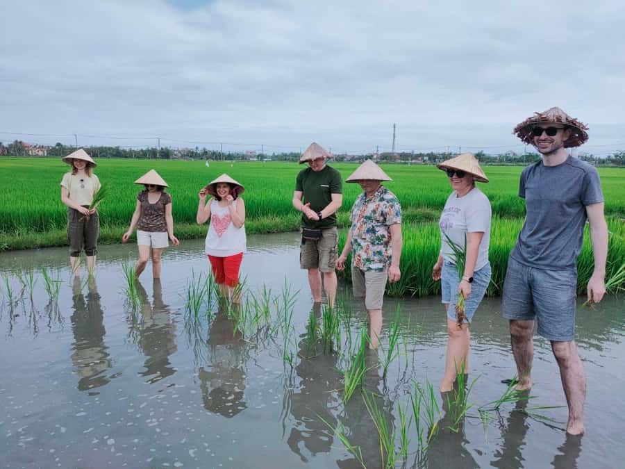 Cycling, Water Buffalo Riding, Traditional Farming Life - Who should book this Cam Thanh experience?