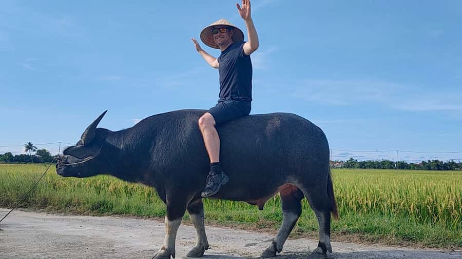 Cycling, Water Buffalo Riding, Traditional Farming Life - Getting your hands dirty in the rice fields