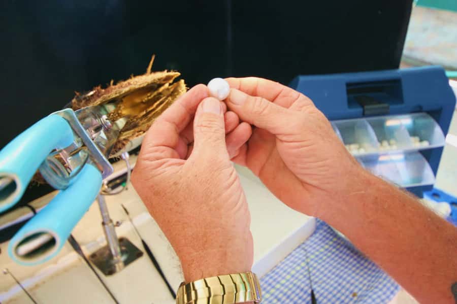 Cygnet Bay Pearl Farm Behind-the-Scenes Tour & Live Harvest - A short history lesson at Australia’s oldest operating pearl farm