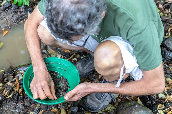 Czech garnet panning, scenic drive, farm & cheese, lunch & beer - A goat farm with cheese and daily farm life