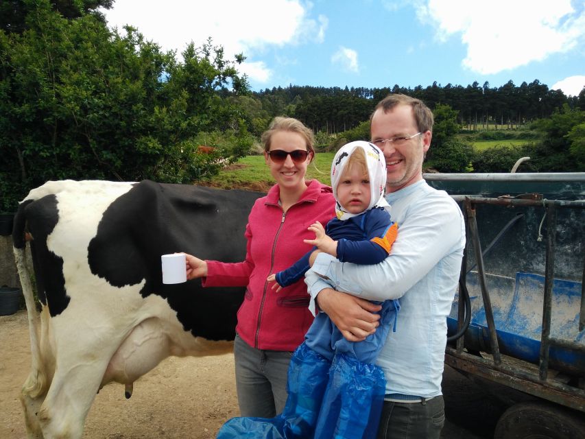 Dairy farm Visit and Cow Milking Experience in Azores - Who Will Enjoy This Azorean Farm Experience