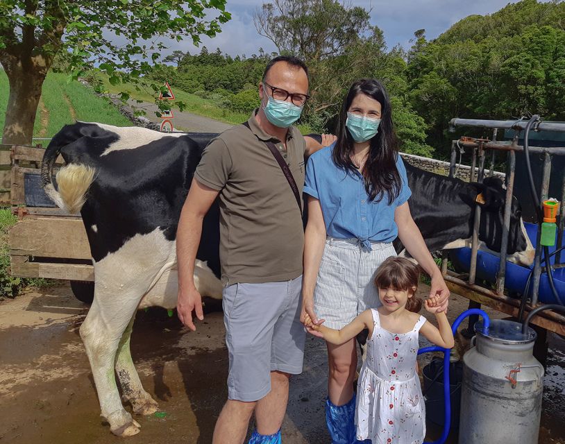 Dairy farm Visit and Cow Milking Experience in Azores - What You Get for $57