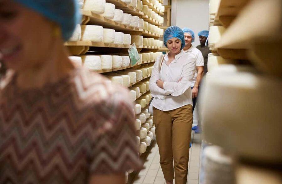 Dairy Tour with Cheese Tasting & Prosecco near Treviso - The 20-minute factory walk: from local milk to aging rooms