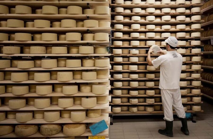 Dairy Tour with Cheese Tasting & Prosecco near Treviso - Who will enjoy the Perenzin visit most
