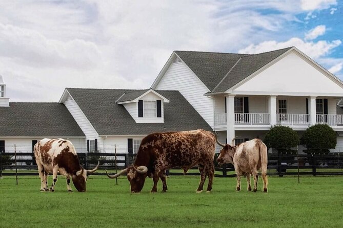 Dallas Southfork Ranch Private Limousine Tour - Lincolns and Longhorns, a good final stop