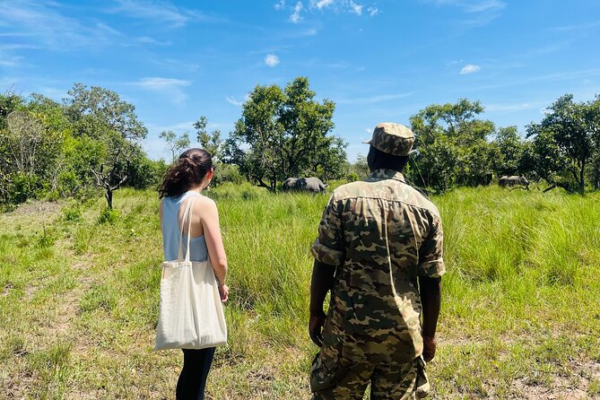 Day Tour Of Ziwa Rhino Sanctuary and Wildlife Ranch - ZIWA RHINO TREKKING - Why Ziwa works as a one-day wildlife outing