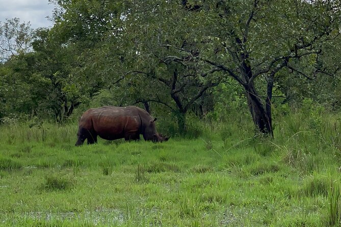 Day Tour Of Ziwa Rhino Sanctuary and Wildlife Ranch - ZIWA RHINO TREKKING - Who will enjoy this day most