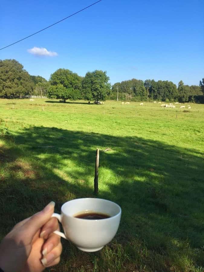 Day Tour to Fairview Coffee Farm - How the tour handles delays and planning