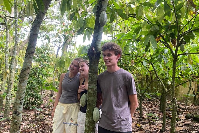 Day Trip Near Accra - Visit Aburi Gardens, Waterfall & Cocoa Farm - Oboadaka Falls: the most active hour