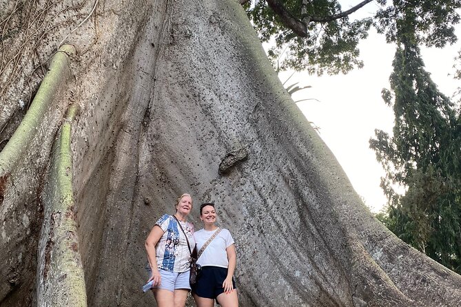 Day Trip Near Accra - Visit Aburi Gardens, Waterfall & Cocoa Farm - What the private format adds