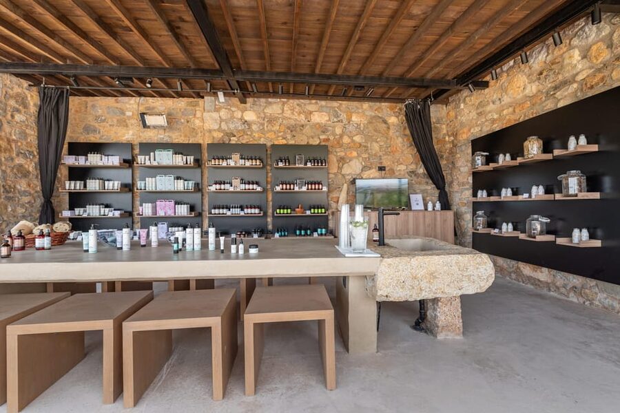 Discover Aloe: A Farm Walk & Workshop - A warm welcome, with Contessa and the farm team