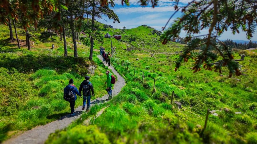 Discover Haugesund and visit a local mountain farmer - Why this three-hour Haugesund tour works well