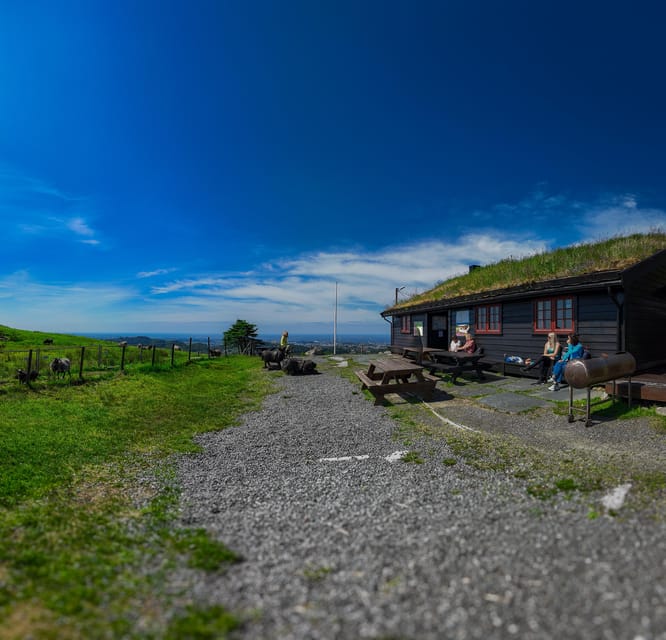 Discover Haugesund and visit a local mountain farmer - Kringsjå farm feels personal, not staged