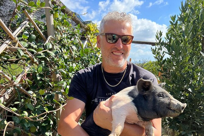 Discover Montepulciano: Cinta Senese Pigs, Lunch & wine in a Farm - Meeting Ciro and the Rare Cinta Senese Pigs