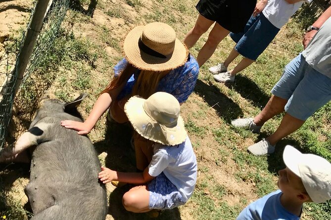Discover Montepulciano: Cinta Senese Pigs, Lunch & wine in a Farm - Booking, Weather, and Timing