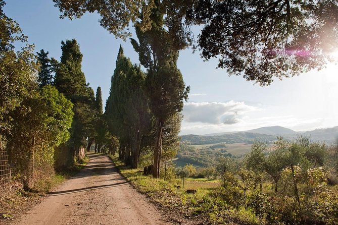 Discover Montepulciano: Cinta Senese Pigs, Lunch & wine in a Farm - Should You Book the Montepulciano Farm Experience?
