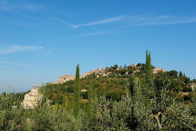 Discover Montepulciano: Cinta Senese Pigs, Lunch & wine in a Farm - Why Roberto Makes the Difference