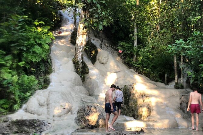 Doi Suthep Temple, Pha Lat Temple, Sticky Waterfall, Orchid farm - Bai Orchid and Butterfly Farm for a gentler pause