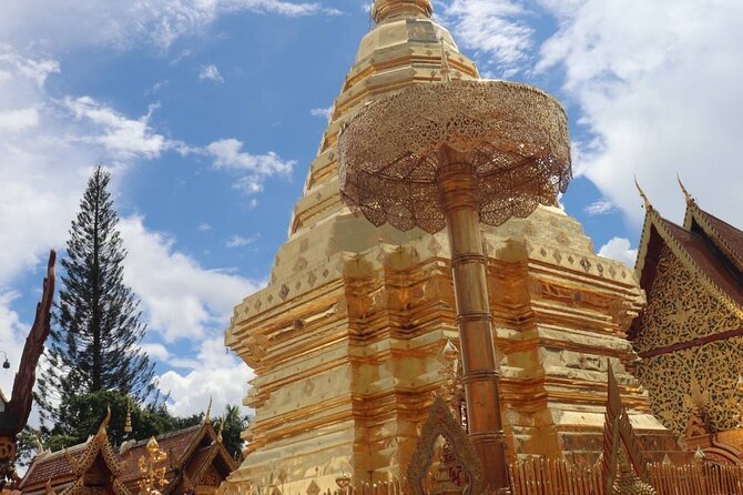 Doi Suthep Temple, Pha Lat Temple, Sticky Waterfall, Orchid farm - The guide can shape the whole experience