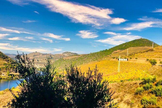 Douro Valley Private Tour: 2 Farms, Lunch & Boat Trip - Key points at a glance