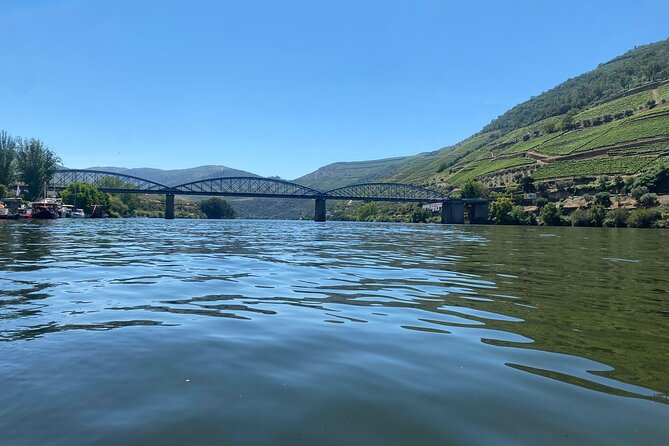 Douro Valley Private Tour: 2 Farms, Lunch & Boat Trip - The second farm in the Vale do Douro