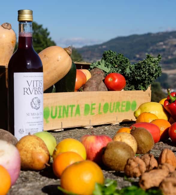 Douro Valley: Traditional Cooking Class, Farm Tour and Lunch - Arriving at Quinta de Louredo