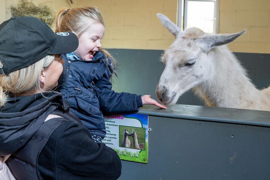 Durham: Adventure Valley Farm Park Entry Ticket - Start with the animals, then plan your day