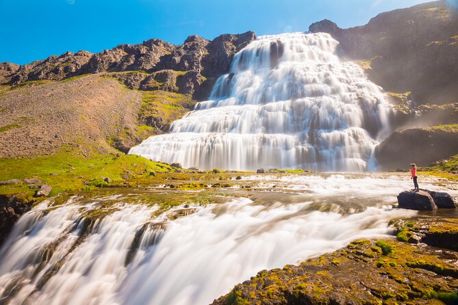 Dynjandi Waterfall & Iceland Farm Visit Tour - What the guides add to the journey