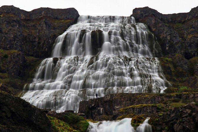Dynjandi Waterfall & Iceland Farm Visit Tour - Group size, timing, and the port meeting point