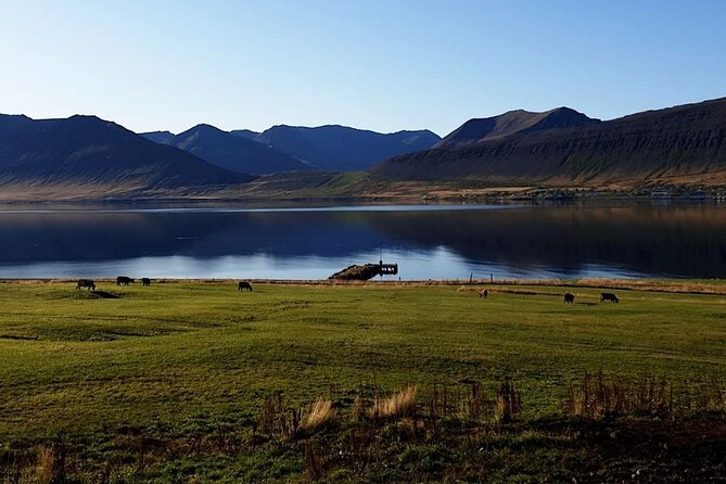Dynjandi Waterfall & Iceland Farm Visit Tour - Who should book this tour?