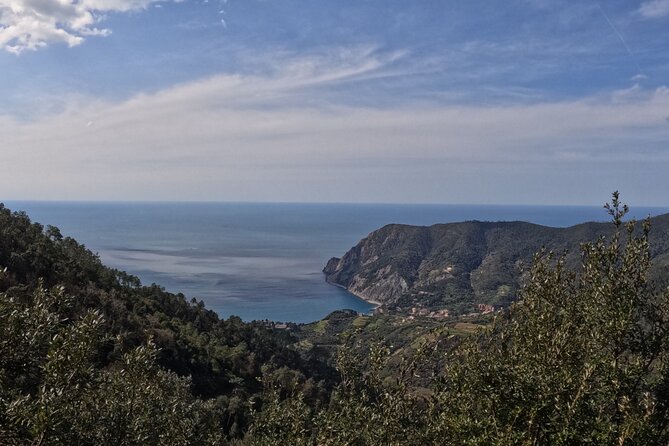 E-Bike Tour in Cinque Terre with Aperitif in Farmhouse - One hour among vineyards, terraces, and sea views