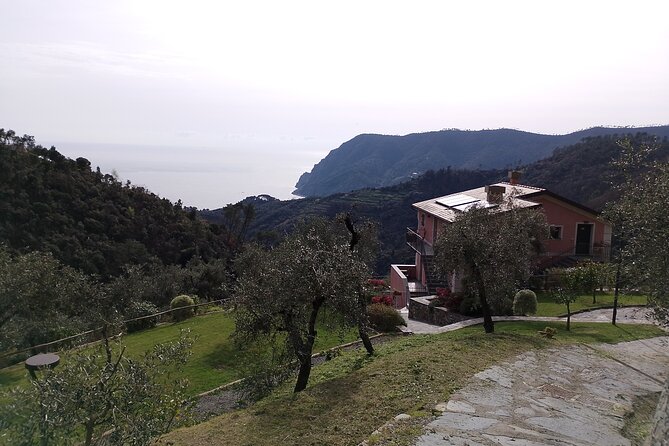 E-Bike Tour in Cinque Terre with Aperitif in Farmhouse - Fitness, equipment, and practical limits
