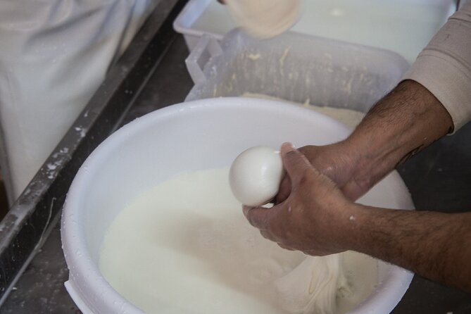 E-bike tour Martina Franca e Locorotondo and visit a dairy - Timing, weather, and cancellation rules