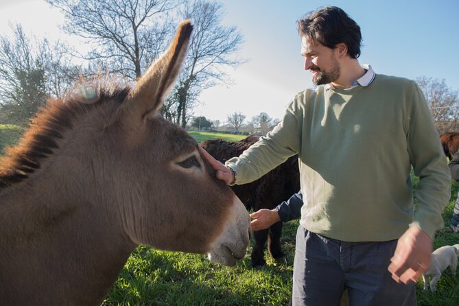 E-bike Tour to Alberobello with Visit to a Donkey Farm - Why this ride improves your Alberobello visit