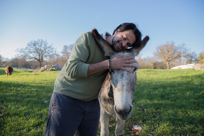 E-bike Tour to Alberobello with Visit to a Donkey Farm - Stories and legends behind the village