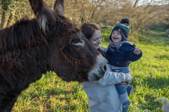 E-bike Tour to Alberobello with Visit to a Donkey Farm - Who should book this Alberobello bike tour