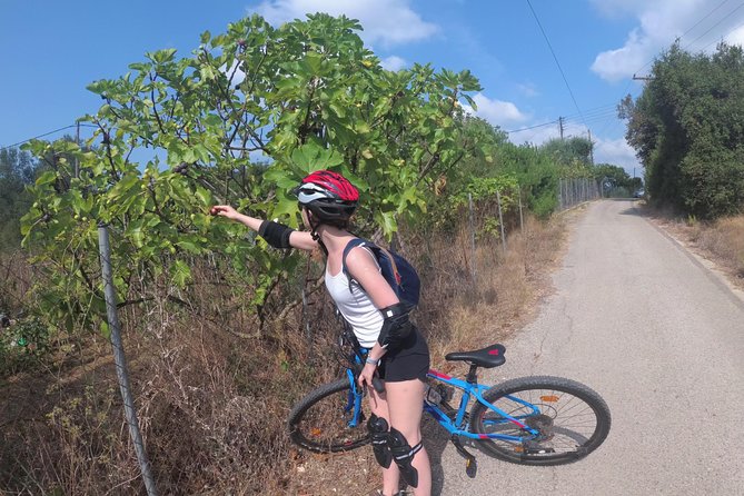 e-MTB Tour - Durrells Farm & Crab Lake [30Km - 18Mi] - Crab Lake and a stretch of Corfu with few people around