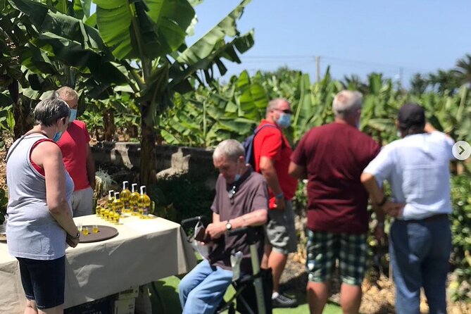 Eco banana farm Tour - Banana facts that make the walk memorable