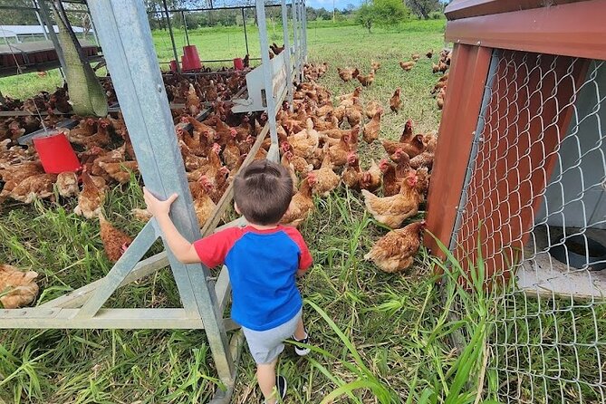 Eco Friendly Farming Tour to Explore Dorado's Most Beautiful Farm - A working farm, not a staged animal attraction