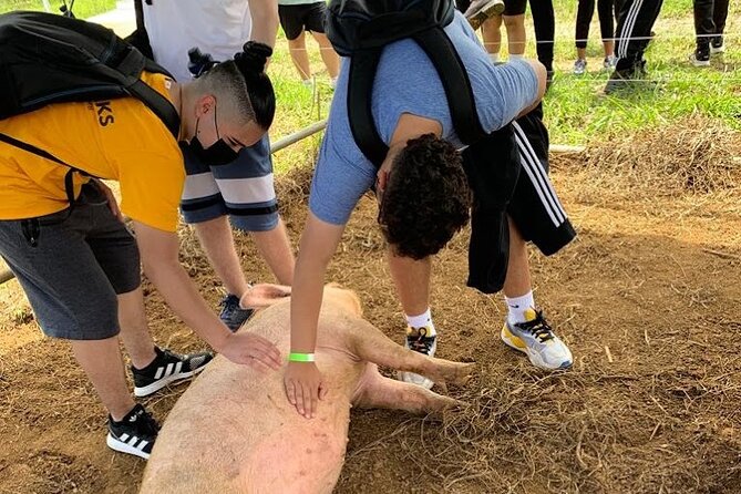 Eco Friendly Farming Tour to Explore Dorado's Most Beautiful Farm - Pizza, gelato, and farm hours
