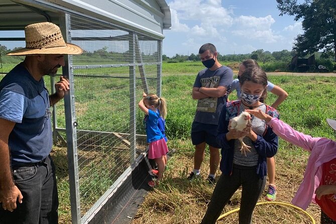 Eco Friendly Farming Tour to Explore Dorado's Most Beautiful Farm - The Giant Grass Maze adds a second kind of fun