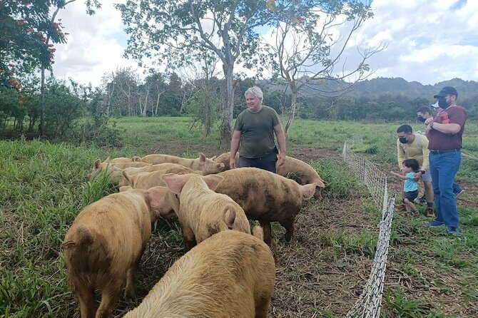 Eco Friendly Farming Tour to Explore Dorado's Most Beautiful Farm - Is the $20 price a good value?