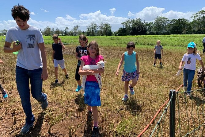 Eco Friendly Farming Tour to Explore Dorado's Most Beautiful Farm - What the one-hour farm tour includes