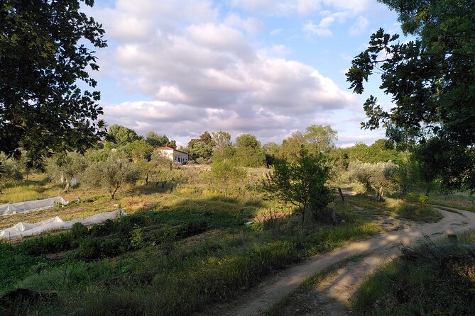 Ecotourism: Organic Farm & Animal Tour near Serra da Estrela - A working farm near Serra da Estrela, not a quick photo stop