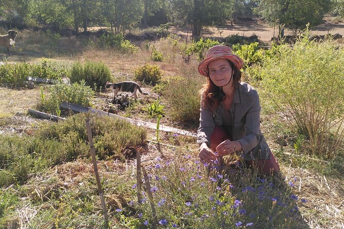 Ecotourism: Organic Farm & Animal Tour near Serra da Estrela - Is $71.04 a fair price?