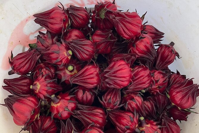 Edible Hibiscus Guided Farm Tour (Big Island) - Who will enjoy this most
