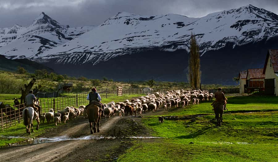 El Calafate: Nibepo Aike Ranch with Horseback Riding - Practical advice for a smoother day