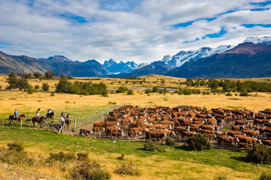 El Calafate: Nibepo Aike Ranch with Horseback Riding - The gravel road to Nibepo Aike