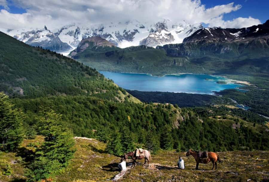 El Calafate: Nibepo Aike Ranch with Horseback Riding - From sheep shearing to Hereford cattle